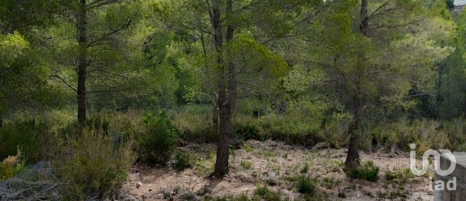 Terreny de 3.600 m² a L'Ametlla de Mar (43860)