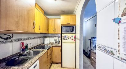 Apartment 2 bedrooms of 74 m² in Torrevieja (03181)