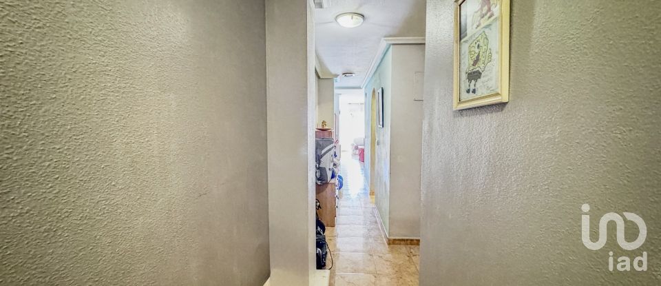 Piso 2 habitaciones de 74 m² en Torrevieja (03181)