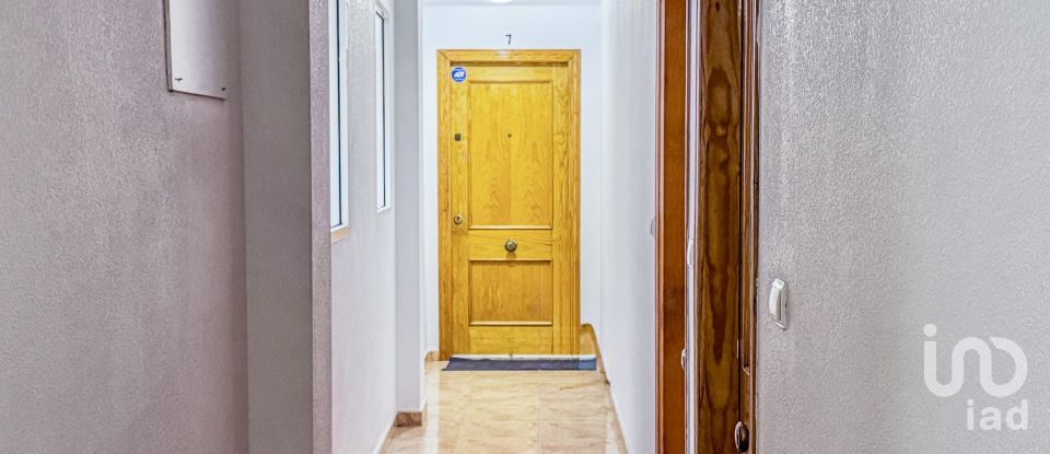 Piso 2 habitaciones de 74 m² en Torrevieja (03181)