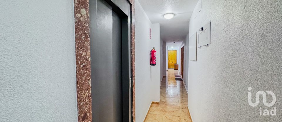 Piso 2 habitaciones de 74 m² en Torrevieja (03181)