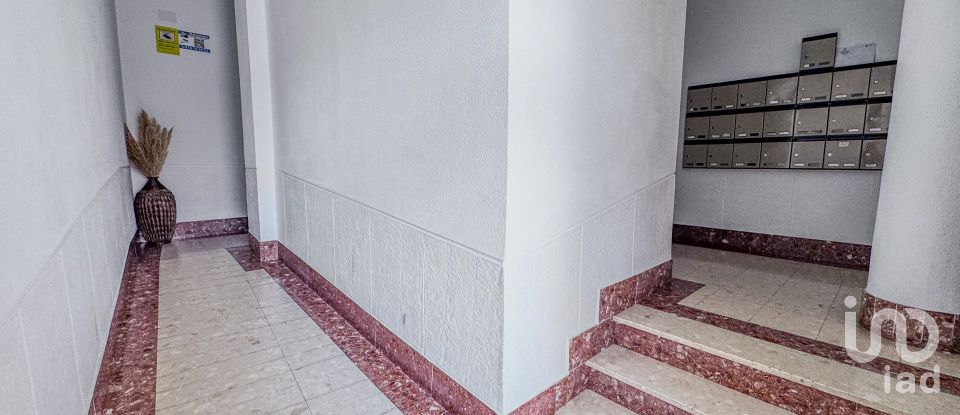 Piso 2 habitaciones de 74 m² en Torrevieja (03181)