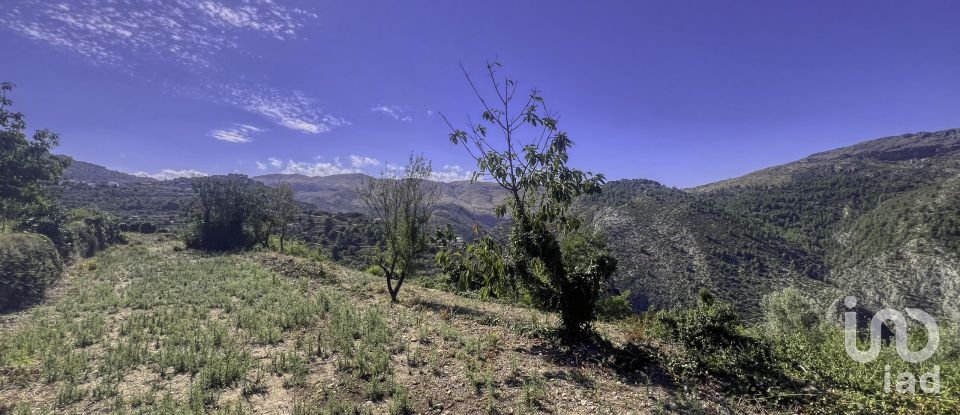 Land of 1,917 m² in La Vall de Laguar (03791)