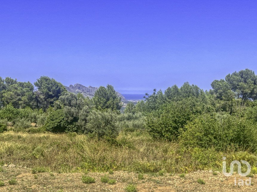 Terrain de 2 750 m² à Murla (03792)