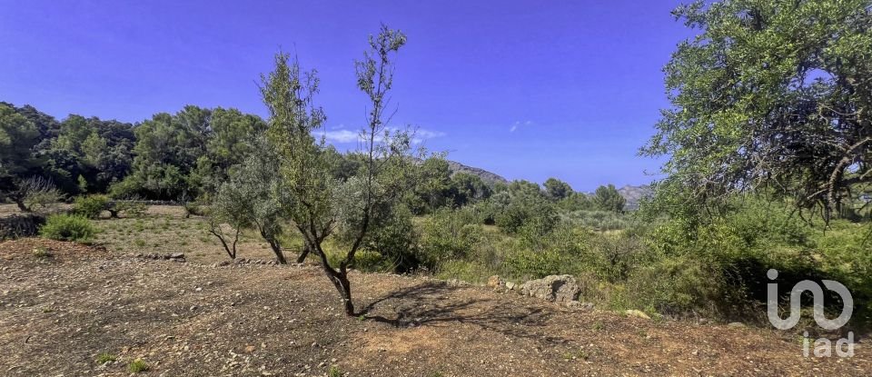 Terrain de 2 750 m² à Murla (03792)