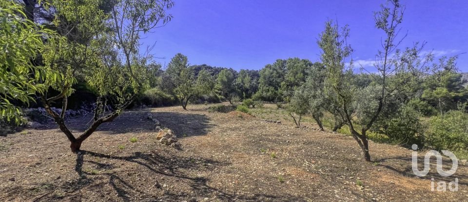 Terrain de 2 750 m² à Murla (03792)