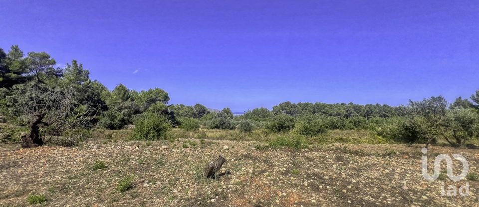 Terrain de 2 750 m² à Murla (03792)