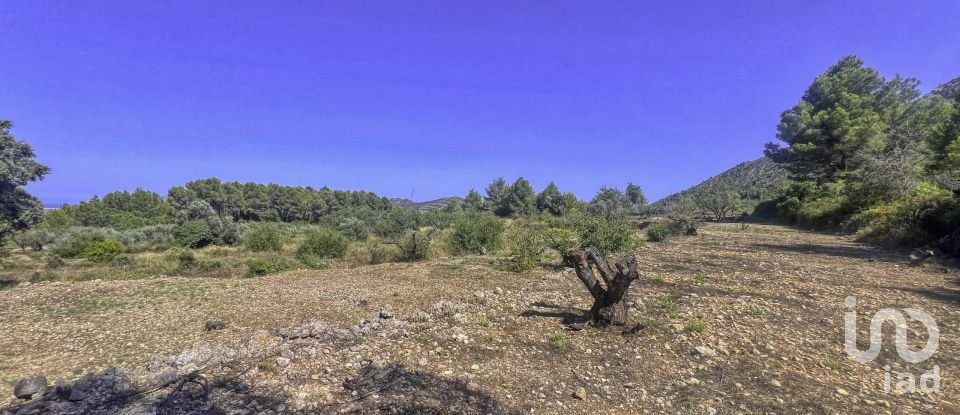 Terrain de 2 750 m² à Murla (03792)