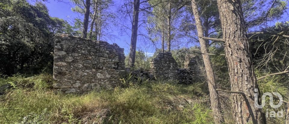 Terrain de 2 750 m² à Murla (03792)