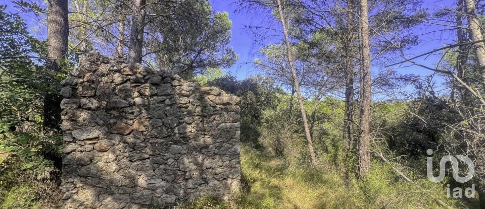 Terrain de 2 750 m² à Murla (03792)