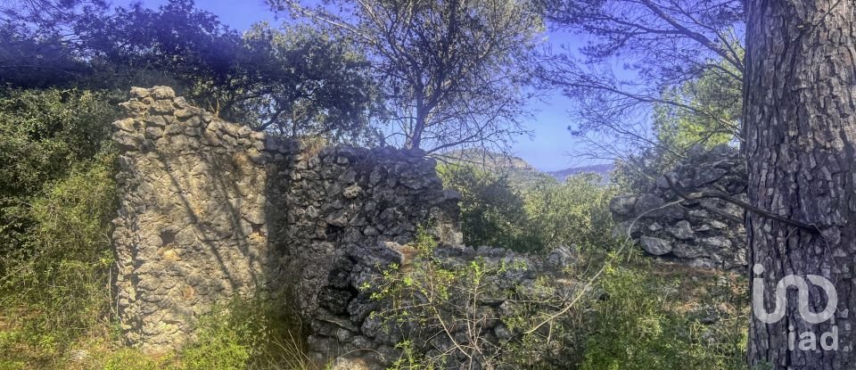 Terrain de 2 750 m² à Murla (03792)