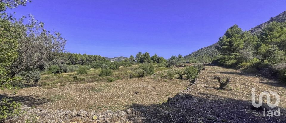 Terrain de 2 750 m² à Murla (03792)