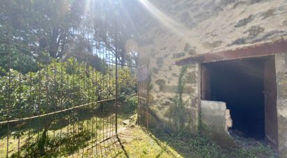 Block of flats in Gata (10860) of 980 m²