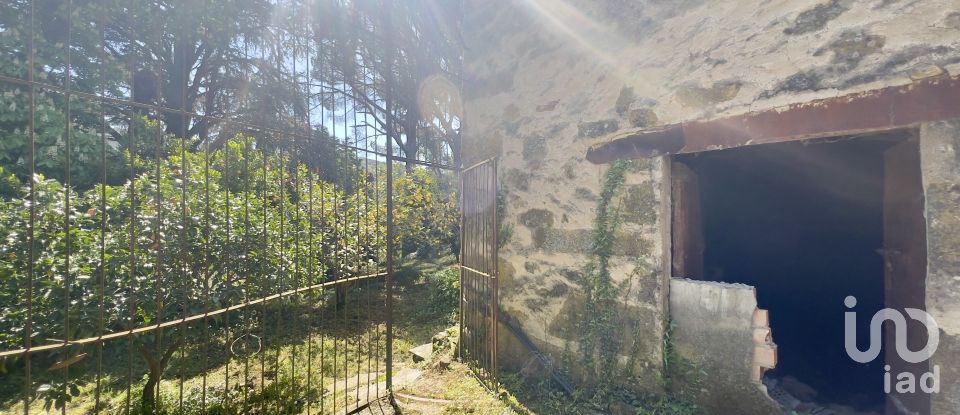 Block of flats in Gata (10860) of 980 m²