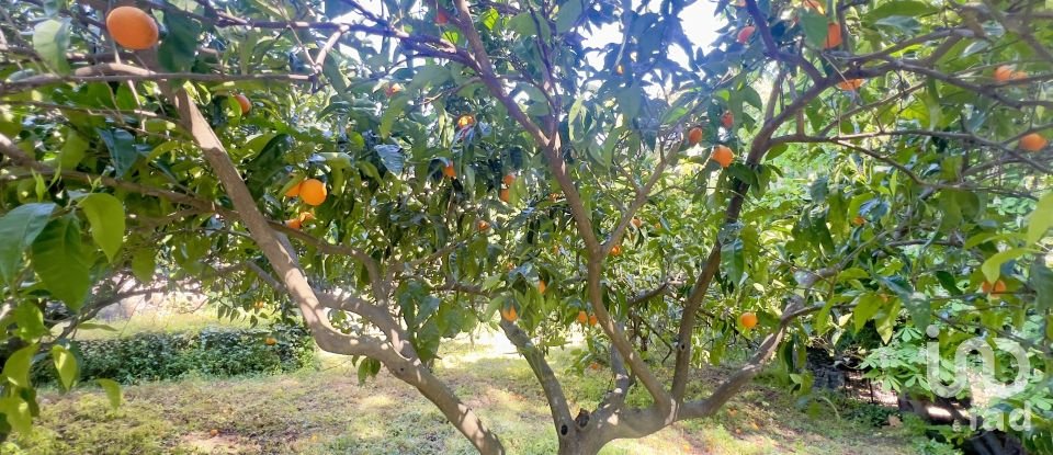 Block of flats in Gata (10860) of 980 m²