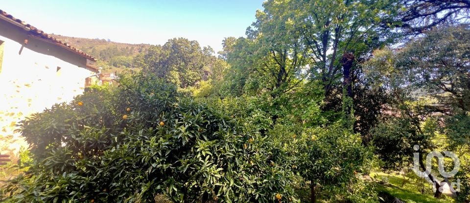 Block of flats in Gata (10860) of 980 m²