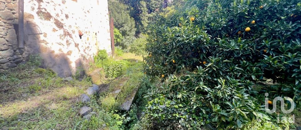 Block of flats in Gata (10860) of 980 m²