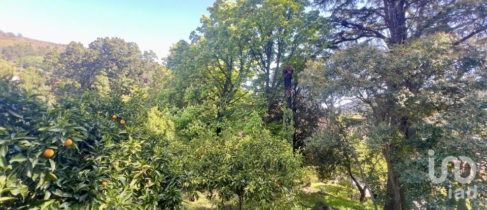 Block of flats in Gata (10860) of 980 m²