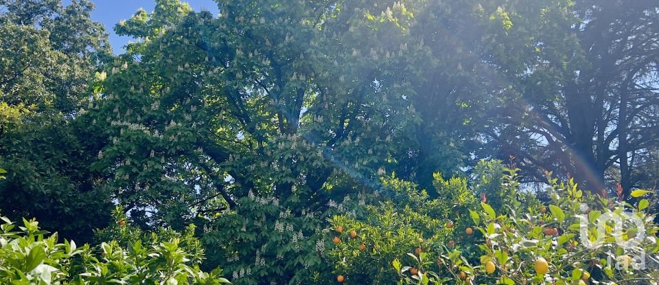 Block of flats in Gata (10860) of 980 m²