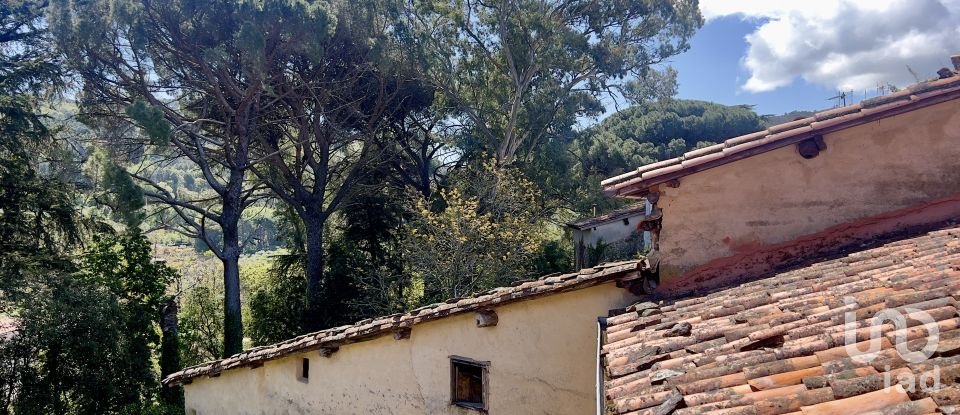 Block of flats in Gata (10860) of 980 m²