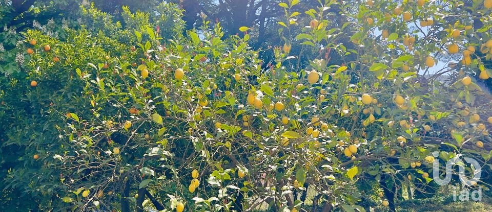 Block of flats in Gata (10860) of 980 m²