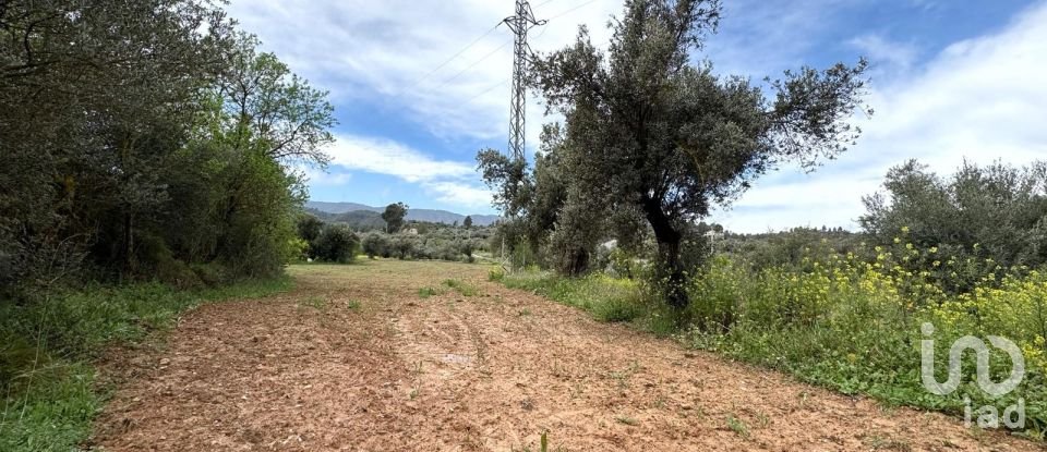Farm land of 10,000 m² in Ascó (43791)