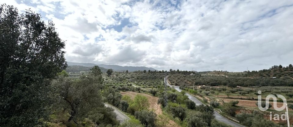 Farm land of 10,000 m² in Ascó (43791)
