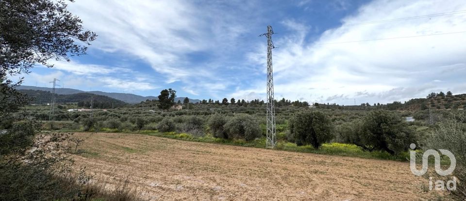 Farm land of 10,000 m² in Ascó (43791)