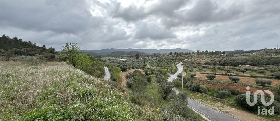 Farm land of 10,000 m² in Ascó (43791)