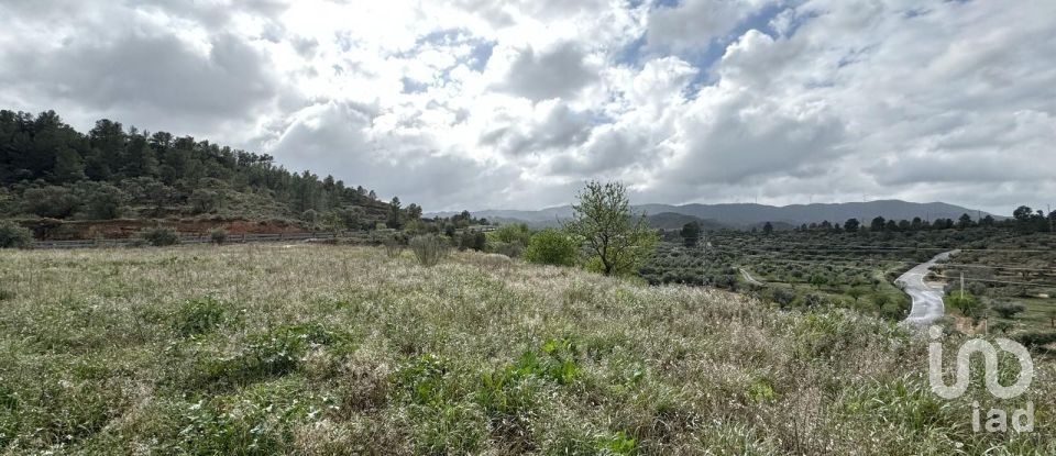 Farm land of 10,000 m² in Ascó (43791)