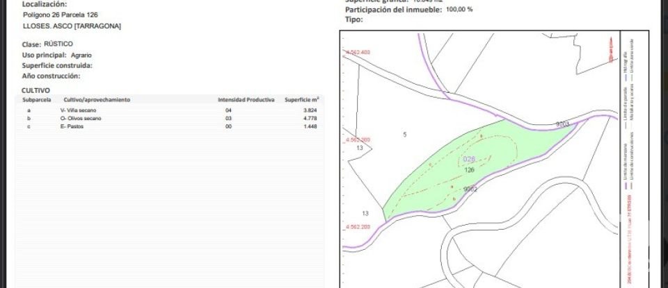 Farm land of 10,000 m² in Ascó (43791)
