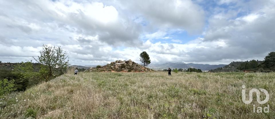 Farm land of 10,000 m² in Ascó (43791)