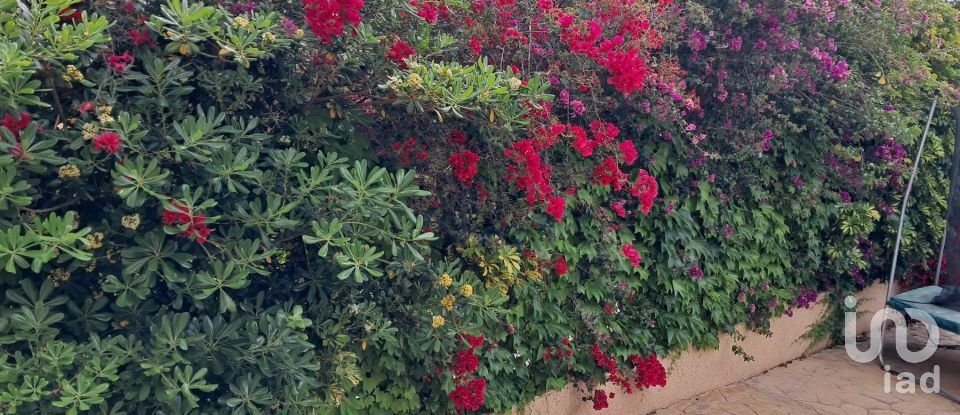 Casa 3 habitaciones de 100 m² en Santa Pola (03130)