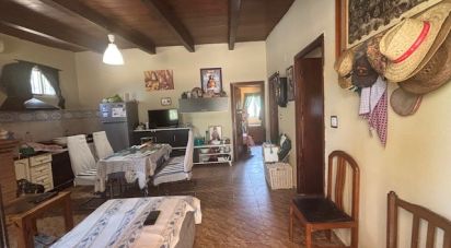 Land of 13,685 m² in Villanueva de los Castillejos (21540)