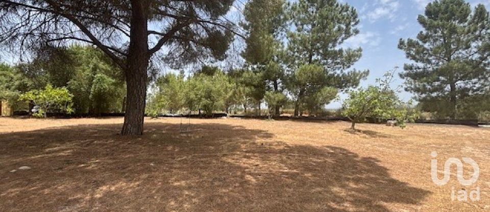 Terreno de 13.685 m² en Villanueva de los Castillejos (21540)