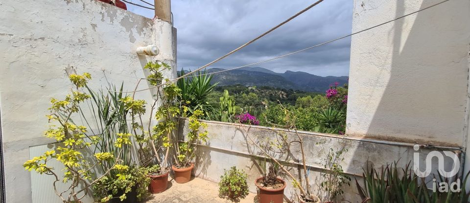 Village house 4 bedrooms of 241 m² in Campanet (07310)