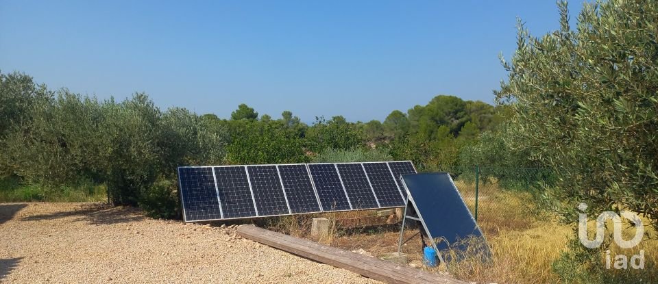 Maison rustique 3 chambres de 114 m² à Rasquera (43513)