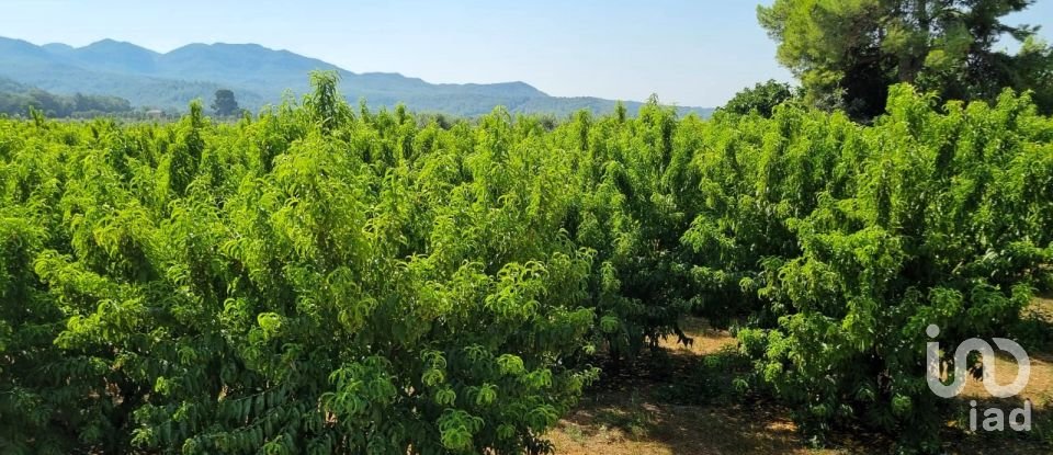 Terreno de 15.697 m² en Móra d'Ebre (43740)