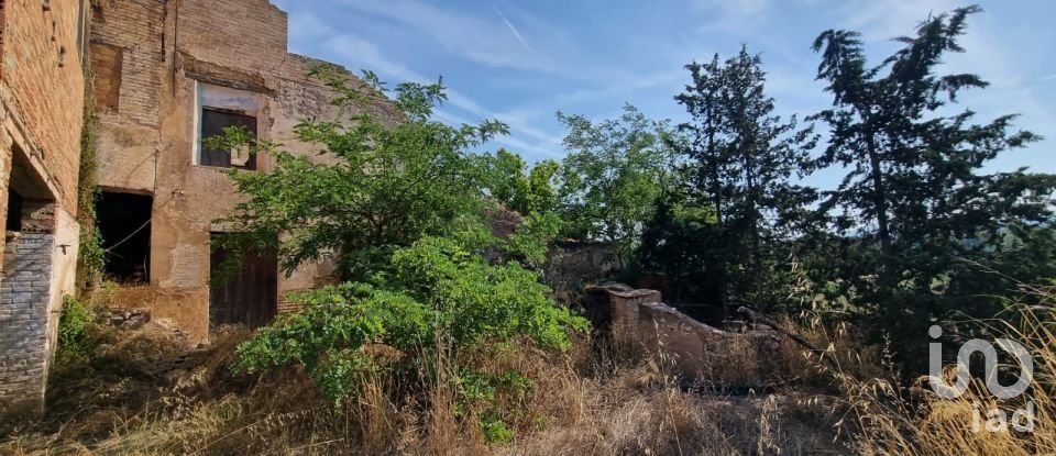 Terreno de 15.697 m² en Móra d'Ebre (43740)