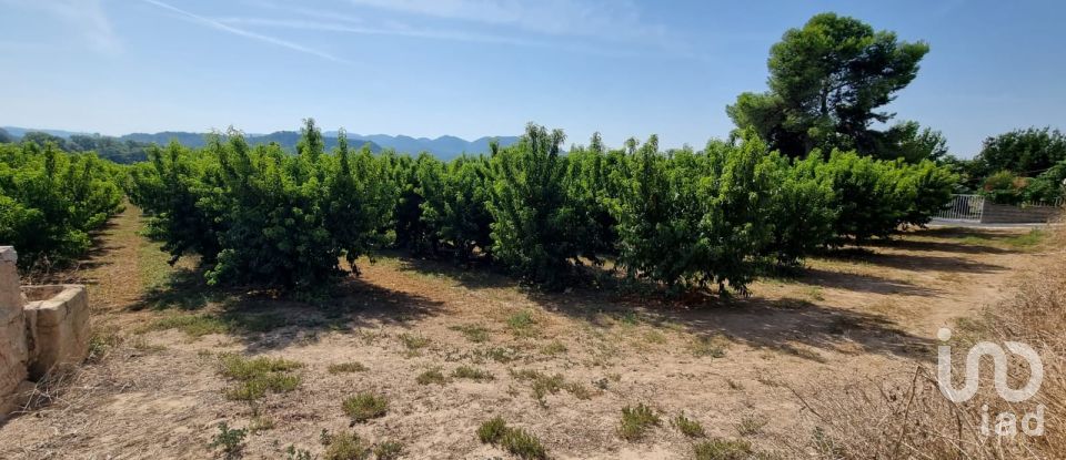 Terreno de 15.697 m² en Móra d'Ebre (43740)
