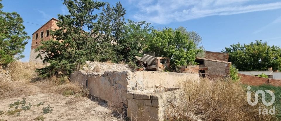 Terreno de 15.697 m² en Móra d'Ebre (43740)