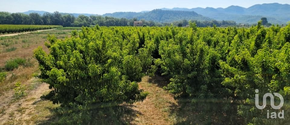 Terreno de 15.697 m² en Móra d'Ebre (43740)