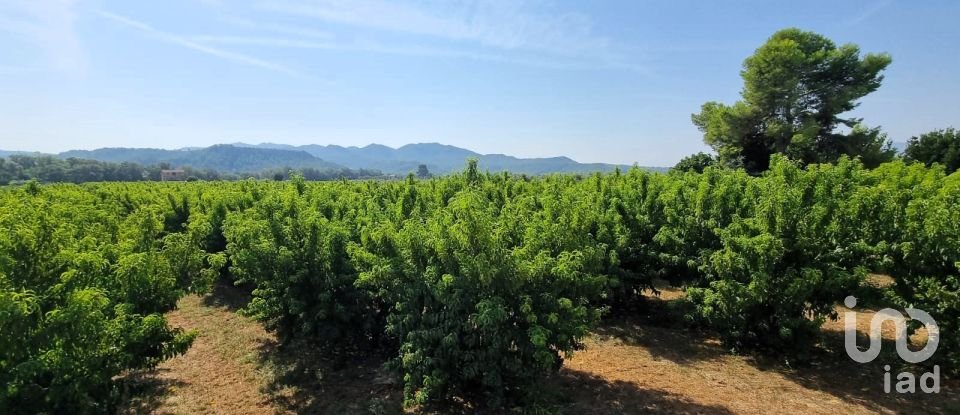 Terreno de 15.697 m² en Móra d'Ebre (43740)