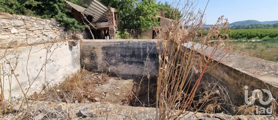 Terreno de 15.697 m² en Móra d'Ebre (43740)