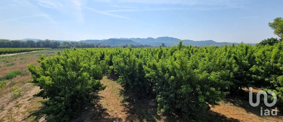 Terreno de 15.697 m² en Móra d'Ebre (43740)