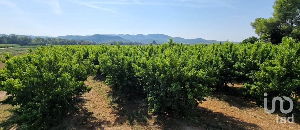 Terreno de 15.697 m² en Móra d'Ebre (43740)