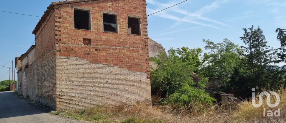 Terreno de 15.697 m² en Móra d'Ebre (43740)