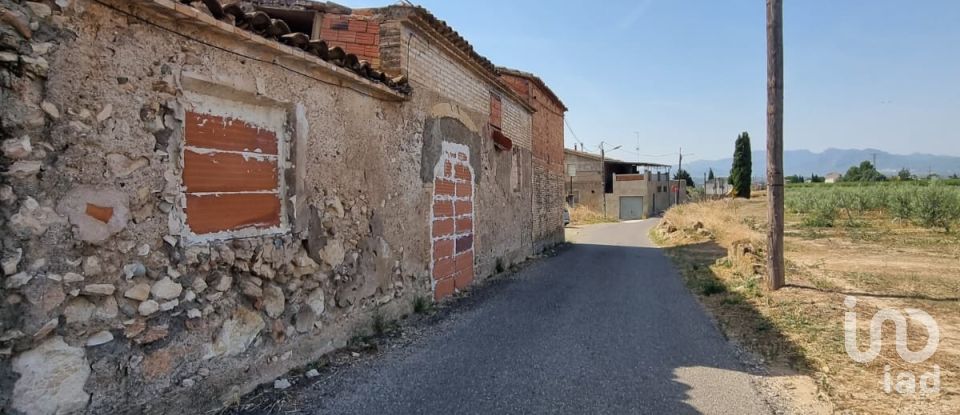 Terreno de 15.697 m² en Móra d'Ebre (43740)