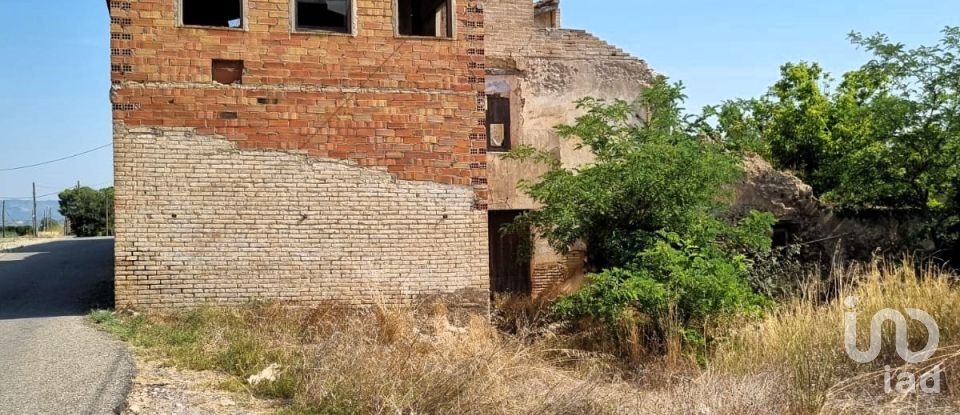 Terreno de 15.697 m² en Móra d'Ebre (43740)