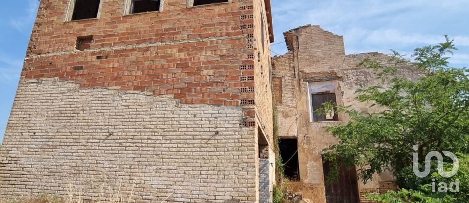 Terreno de 15.697 m² en Móra d'Ebre (43740)